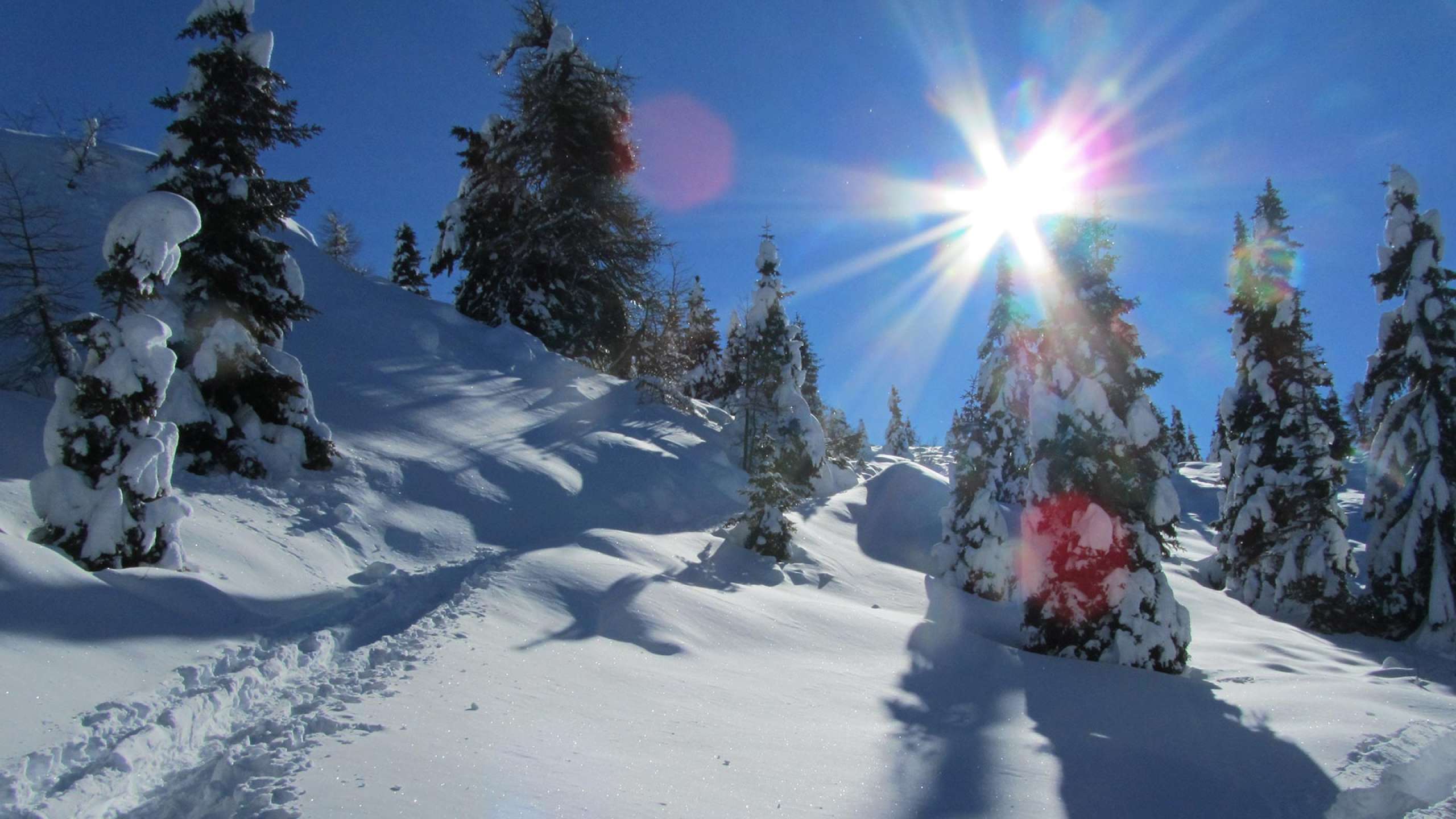 Sciare in Val di Non